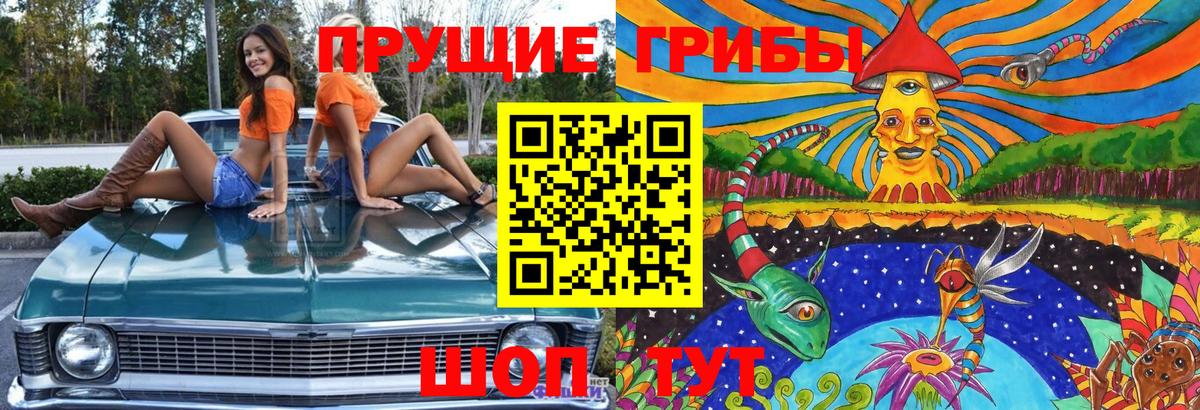 Галлюциногенные грибы прущие грибы  Вход с VPN  где найти наркотики  Кострома 