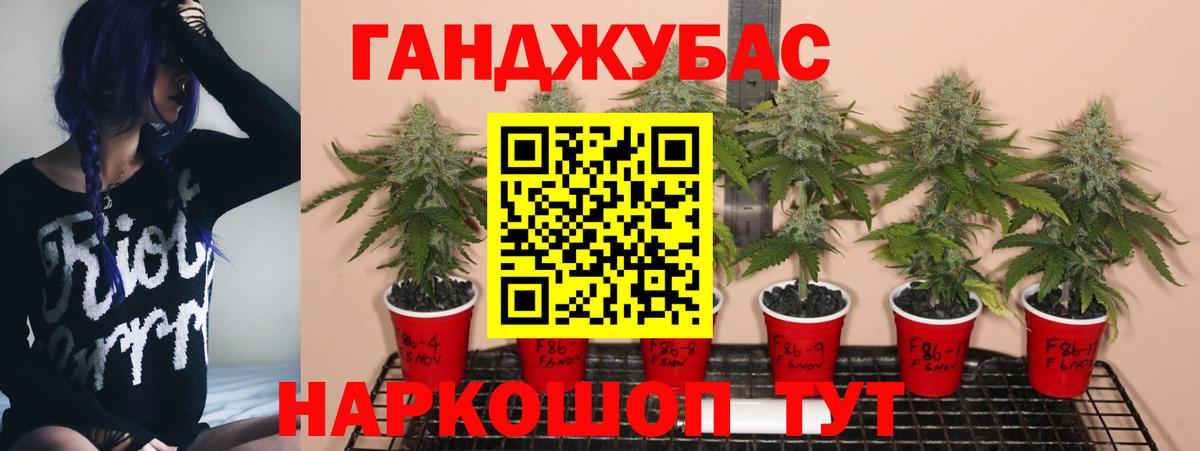 Шишки марихуана конопля  Конопля марихуана  Кострома  Вход с VPN  Конопля THC 21% 